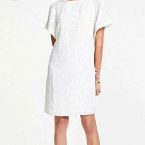 Ann Taylor Petite Jacquard Flutter Sleeve T-Shirt Dress